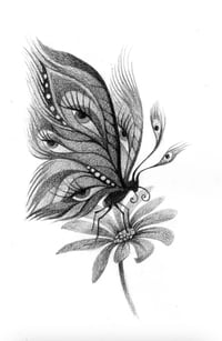 Image 2 of Påfjäril (original artwork)
