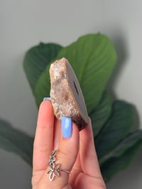 Image 2 of YELLOW RING BLUE LAGUNA AGATE