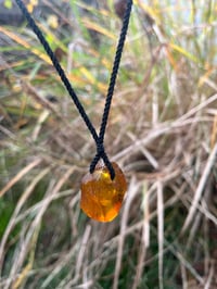 Image 2 of Natural Baltic Amber pendant 3