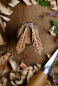Image 1 of Feather ~ Earrings 