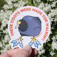 Image 1 of Coot Feet 3” Sticker