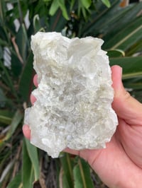 Image 5 of UV Reactive Calcite #1590