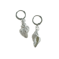 Silver Shell 2