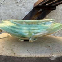 Image 4 of Green Drippy Flutter Dish
