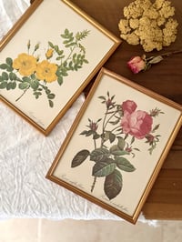 Image 1 of Cadres botaniques