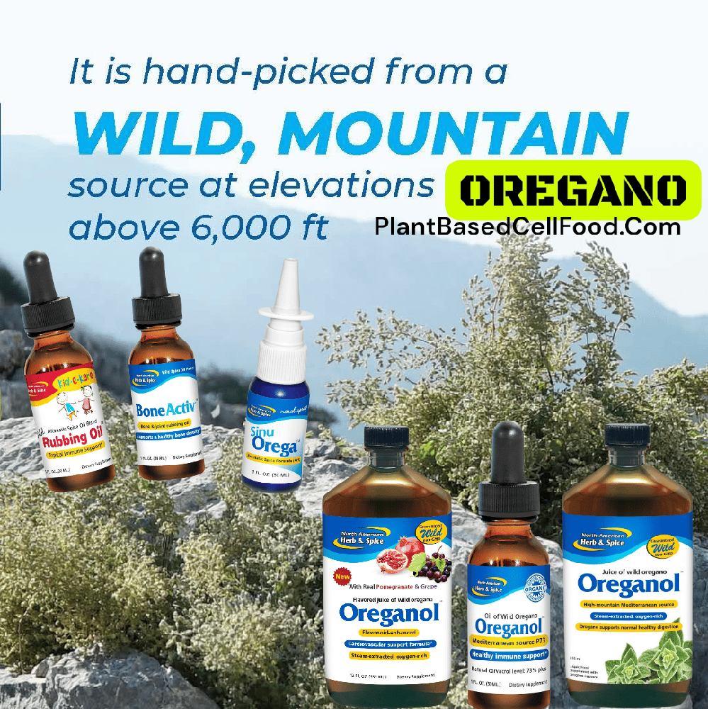 OREGANO JUICE (Wild/Mediterranean). Respiratory-Immunity-Pancreas-Liver-Hormonal-Blood Sugar-Herpes