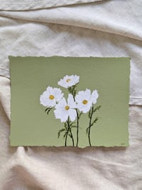 Cosmos 