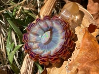 Image 8 of Firebird