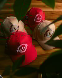 Image 2 of TRIBE (Red 5 Panel + BL Side Patch) 