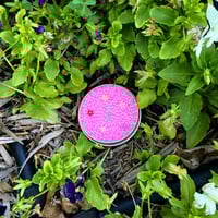 Image 2 of Flowers Tin