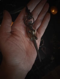 Image 1 of Coffin nail & vertebrae 