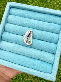 Abalone ring 1 - sample
