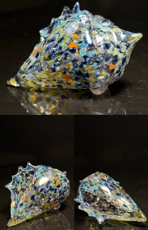 Image of Large Shell 8