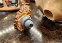 Image 2 of Deer Skull Antler Mount 11 inches