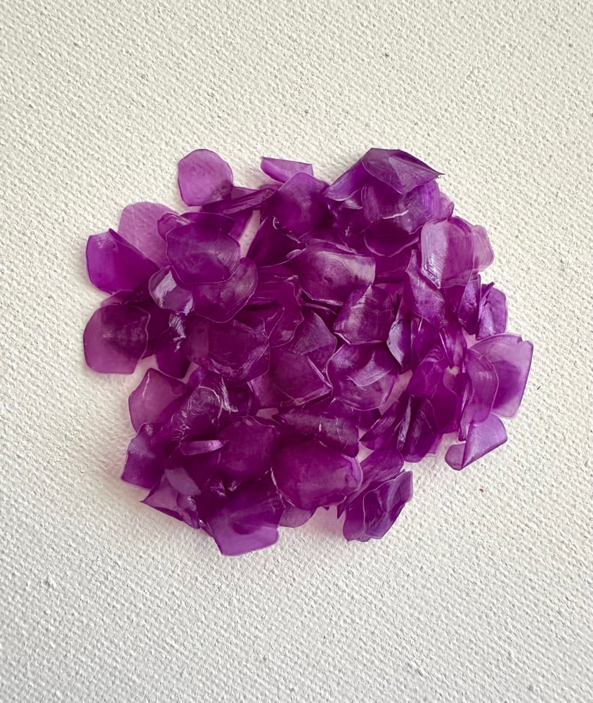 Image of Dyed fish scales - Purple