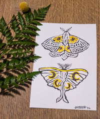 Celestial Moth Print