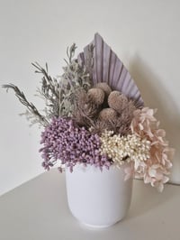 Image 1 of  Lavender Dreams
