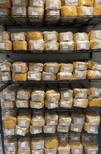 Sterilized Grain Spawn (3lb Corn)
