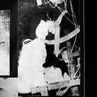 Image 19 of Yaso spécial Noctural Visit 