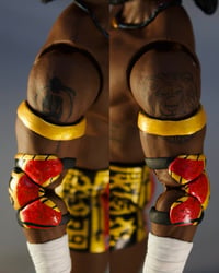 Image 17 of Oba Femi 