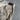 QUIKSILVER CORDUROY BEIGE PANTS