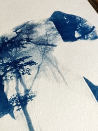 Image 2 of Cyanotype de "Camouflage"