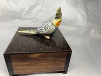 Image 14 of Custom Engraved Cockatiel Bird Mini Keepsake Urn Handpainted To Your Photo Pet Portrait
