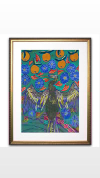 Image 4 of Snakebird FLA morning glory and my icon oranges