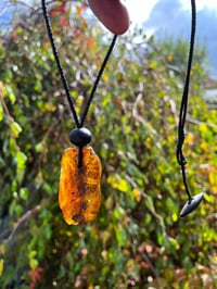 Image 5 of Large Amber nugget with Bog oak bead