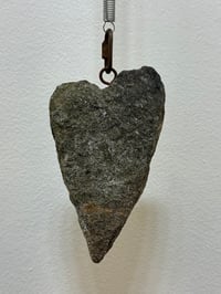 Image 1 of LYNNE FRANCIOSE - "The ups and downs of the heart"