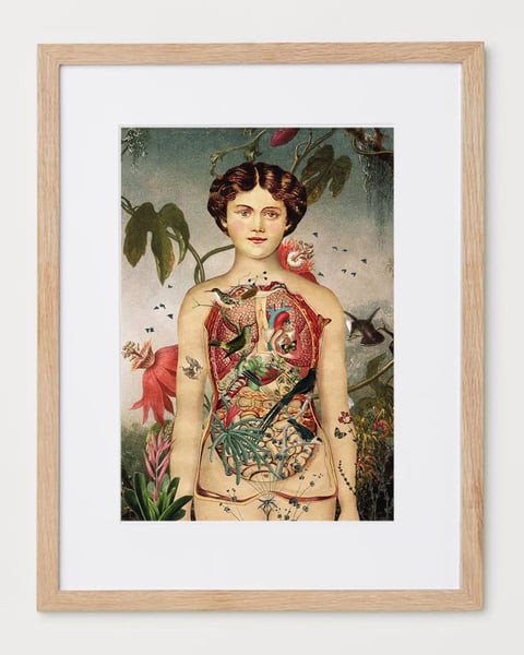 Image of Eva y Atrapa-pajaros
