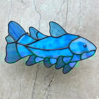 Image 1 of Coelacanth