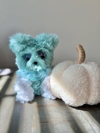 Image 5 of Sabrina Schnoodle 