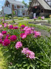 prom making flower class 4/30/26 @ 530pm