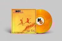 Image 1 of Not Gorgeous - We Are... LP