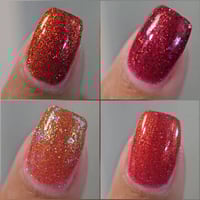 Image 1 of Cozy Autumn Quad