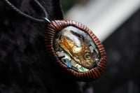 Image 6 of dead good fish head and paua shell necklace