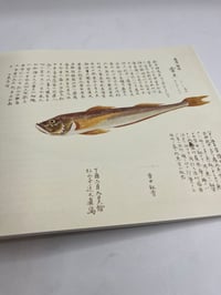 Image 2 of Fishes of Edo