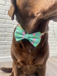 Image 6 of Personalised Tulips Dog Bow - Handmade Mint Green or Lilac with Spring Tulips Design