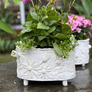 Image of Australian Native Flower Double Cachepot (4262)