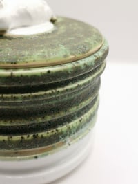 Image 2 of Criss Cross Mossy Cat Jar