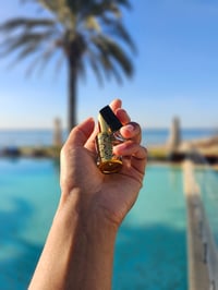 Image 5 of Revolution (Thawra/Anqalab) 