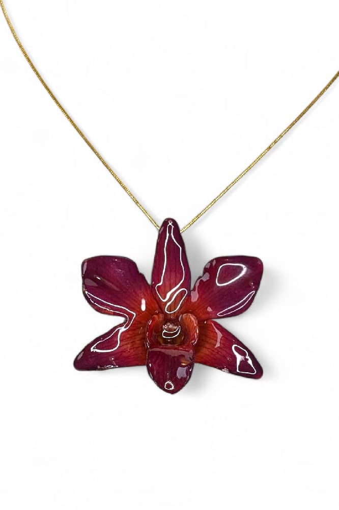 Image of Dendrobium Orchid Pendants (Autumn Update)