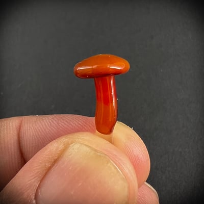 Image of Mini Red Mushroom Plant Spike