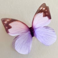 Image 2 of Bubblegum