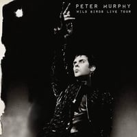 Peter Murphy. Wild birds live tour