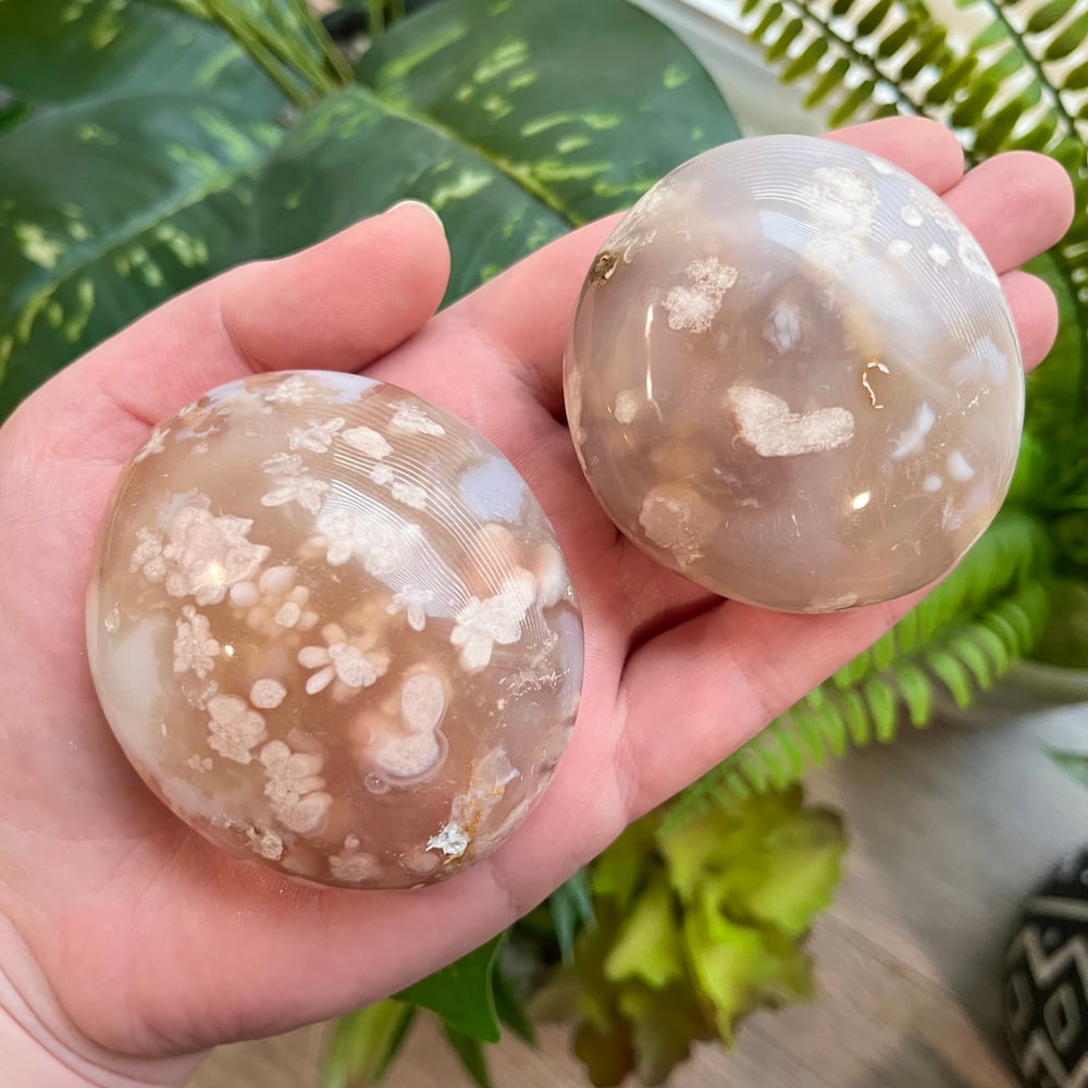 Flower Agate Palmstone