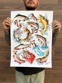 Image 1 of “Big Trout Flash Sheet” 18x24 Print