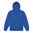 Image 3 of Youth heavy blend embroidered hoodie