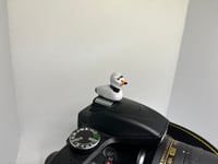 Image 4 of Piping Plover Hotshoe Cover